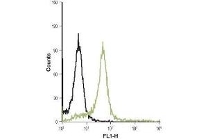 Cell surface detection of PAR-4 in live intact HL-60 (human promyelocytic leukemia) cell line: (black line) Unstained cells. (F2RL3 antibody  (1st Extracellular Loop) (FITC))