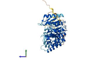 AlphaFold protein structure predicition of Human Recombinant PRAMEF25 Protein, UniprotID A6NGN4 (PRAMEF25 Protein (AA 1-478) (His tag))