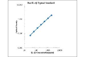 ELISA image for Interleukin 1, beta (IL1B) ELISA Kit (ABIN2472108)