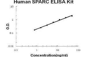 Human SPARC PicoKine ELISA Kit standard curve (SPARC ELISA Kit)