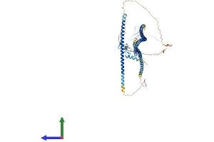 Protein Structure (PS) image for Tax1 (Human T-Cell Leukemia Virus Type I) Binding Protein 1 (TAX1BP1) (AA 1-789) protein (His tag) (ABIN7555725)