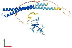 Protein Structure (PS) image for Inhibitor of Growth Family, Member 4 (ING4) (AA 1-249) protein (His tag) (ABIN7559068)