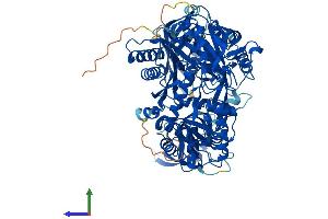 AlphaFold protein structure predicition of Mouse Recombinant Ago3 Protein, UniprotID Q8CJF9 (EIF2C3 Protein (AA 1-860) (His tag))