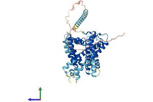 Protein Structure (PS) image for Sterol O-Acyltransferase 2 (SOAT2) (AA 1-522) protein (His tag) (ABIN7546333)