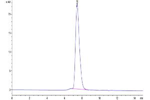 The purity of Human KIR2DL1 is greater than 95 % as determined by SEC-HPLC. (KIR2DL1 Protein (AA 22-242) (His-Avi Tag))