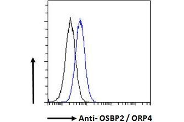OSBP2 抗体  (C-Term)