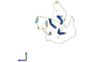 AlphaFold protein structure predicition of Mouse Recombinant Shtn1 Protein, UniprotID Q8K2Q9