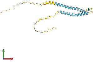 AlphaFold protein structure predicition of Mouse Recombinant Tmem88b Protein, UniprotID Q3TYP4 (TMEM88B Protein (AA 1-173) (His tag))
