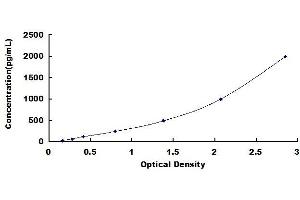 Typical standard curve (TIMP2 ELISA Kit)