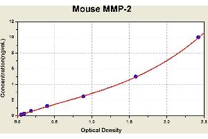 Diagramm of the ELISA kit to detect Mouse MMP-2with the optical density on the x-axis and the concentration on the y-axis. (MMP2 ELISA Kit)