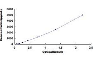 Typical standard curve