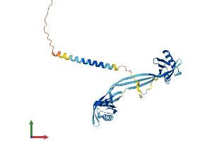 Protein Structure (PS) image for N-Myc (And STAT) Interactor (NMI) (AA 1-307) protein (His tag) (ABIN7549743)
