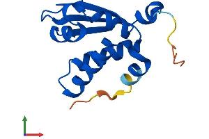 AlphaFold protein structure predicition of Human Recombinant KHDC1L Protein, UniprotID Q5JSQ8