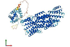 AlphaFold protein structure predicition of Mouse Recombinant Anapc5 Protein, UniprotID Q8BTZ4 (ANAPC5 Protein (AA 1-740) (His tag))