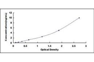 Calpastatin ELISA Kit