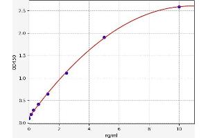 Typical standard curve (AKT1 ELISA Kit)