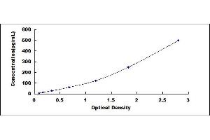 VGF Nerve Growth Factor Inducible (VGF) ELISA Kit