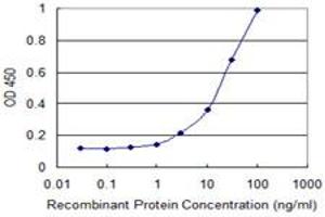 Detection limit for recombinant GST tagged DAK is 0. (DAK antibody  (AA 1-575))
