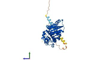 AlphaFold protein structure predicition of Mouse Recombinant Fut2 Protein, UniprotID Q9JL27