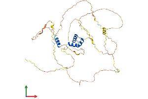 AlphaFold protein structure predicition of Human Recombinant LCOR Protein, UniprotID Q96JN0