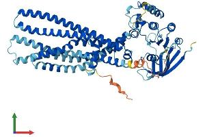 AlphaFold protein structure predicition of Human Recombinant ABCD4 Protein, UniprotID O14678 (ABCD4 Protein (AA 1-606) (His tag))