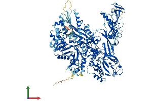 AlphaFold protein structure predicition of Human Recombinant POLR2B Protein, UniprotID P30876 (POLR2B Protein (AA 1-1174) (His tag))