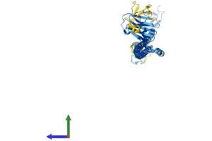 Protein Structure (PS) image for Tripartite Motif Containing 64B (TRIM64B) (AA 1-449) protein (His tag) (ABIN7544735)