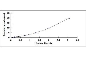 Typical standard curve (CLN3 ELISA Kit)