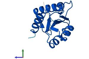 AlphaFold protein structure predicition of Mouse Recombinant Snu13 Protein, UniprotID Q9D0T1 (NHP2L1 Protein (AA 1-128) (His tag))