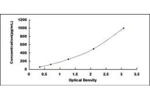 Typical standard curve (FAM3A ELISA Kit)