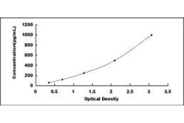 FAM3A ELISA Kit
