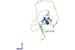 AlphaFold protein structure predicition of Mouse Recombinant Nfe2 Protein, UniprotID Q07279 (NFE2 Protein (AA 1-373) (His tag))