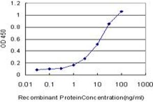 Detection limit for recombinant GST tagged NHLH2 is approximately 0. (NHLH2 antibody  (AA 36-135))