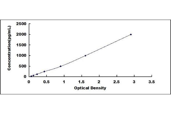 CCR3 ELISA Kit
