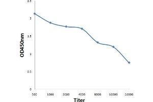 Antigen: 0. (MRGPRX1/3/4 (AA 21-120) antibody)