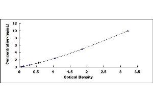 Typical standard curve (NEK7 ELISA Kit)