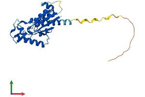Protein Structure (PS) image for Integrin beta 1 Binding Protein 3 (ITGB1BP3) (AA 1-230) protein (His tag) (ABIN7549845)