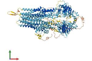 Protein Structure (PS) image for ATP-Binding Cassette, Sub-Family C (CFTR/MRP), Member 12 (ABCC12) (AA 1-1359) protein (His tag) (ABIN7554595)