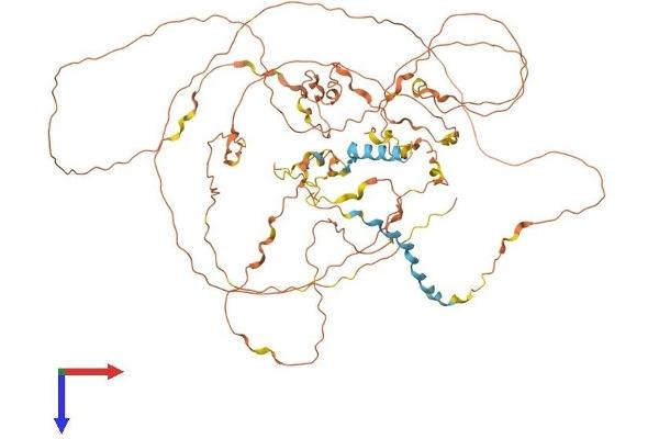 GGN Protein (AA 1-673) (His tag)