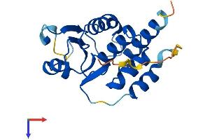 AlphaFold protein structure predicition of Human Recombinant DUSP13A Protein, UniprotID Q6B8I1 (DUSP13 Protein (AA 1-188) (His tag))