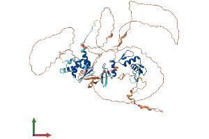 Protein Structure (PS) image for Zinc Finger and BTB Domain Containing 33 (ZBTB33) (AA 1-671) protein (His tag) (ABIN7564404)