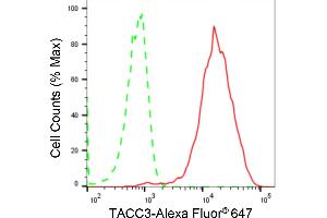 Flow cytometric analysis of TACC3 expression in HAP-1 cells using TACC3 antibody (ABIN7800606), 1:2,000).