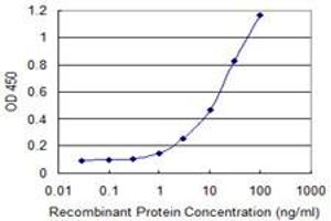 anti-Adaptor Protein, phosphotyrosine Interaction, PH Domain and Leucine Zipper Containing 2 (APPL2) (AA 174-273) antibody