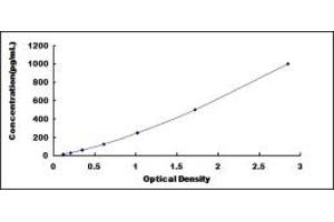 Typical standard curve (IGFBP5 ELISA Kit)