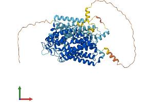 AlphaFold protein structure predicition of Mouse Recombinant Slc5a9 Protein, UniprotID Q8VDT1
