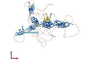 AlphaFold protein structure predicition of Mouse Recombinant Fndc3c1 Protein, UniprotID Q6DFV6 (Fndc3c1 Protein (AA 1-1356) (His tag))