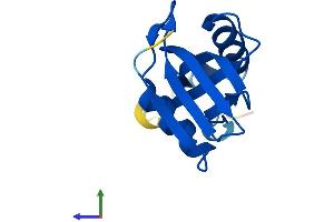 Protein Structure (PS) image for phosphohistidine Phosphatase 1 (PHPT1) (AA 1-124) protein (His tag) (ABIN7561228)
