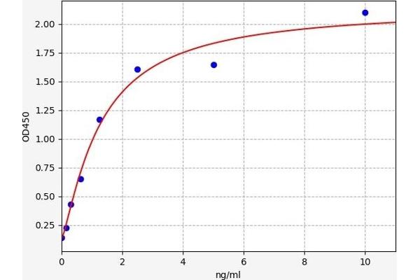 LAMP1 ELISA Kit