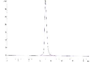 The purity of Human GUCY2C is greater than 95 % as determined by SEC-HPLC.