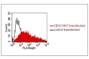 FACS analysis of BOSC23 cells using 4/3/17. (CEACAM1/5 antibody)